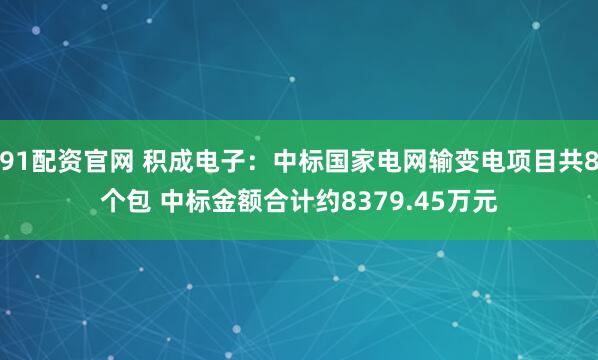 91配资官网 积成电子：中标国家电网输变电项目共8个包 中标金额合计约8379.45万元