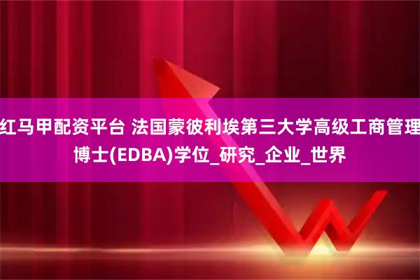 红马甲配资平台 法国蒙彼利埃第三大学高级工商管理博士(EDBA)学位_研究_企业_世界