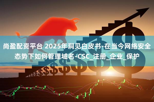尚盈配资平台 2025年洞见白皮书-在当今网络安全态势下如何管理域名-CSC_注册_企业_保护