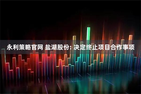 永利策略官网 盐湖股份: 决定终止项目合作事项