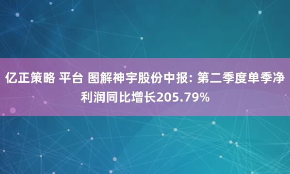 亿正策略 平台 图解神宇股份中报: 第二季度单季净利润同比增长205.79%